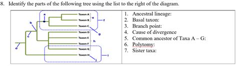 Solved 8. Identify the parts of the following tree using the | Chegg.com