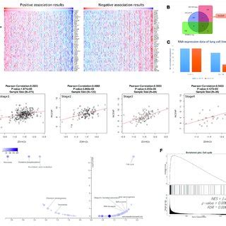 Palmitoylation Sites Of Incenp And Its Function In Cancer Stem Cell