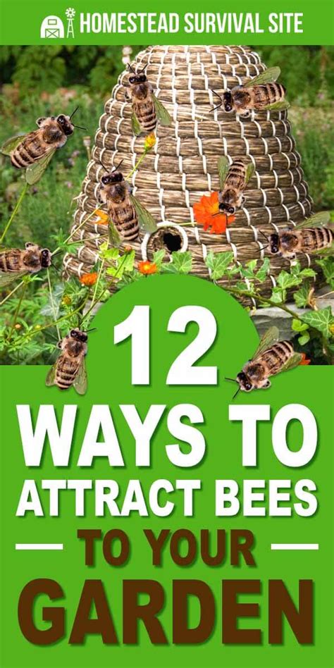 12 Ways To Attract Bees To Your Garden Artofit