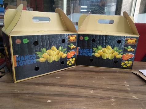 Kraft Paper Single Wall 3 Ply Mango Packaging Box 1 Dozen Box Capacity 1 5 Kg Rs 26 00