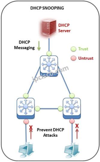 What Is Dhcp Snooping Trusted And Untrusted Ports ⋆ Ipcisco