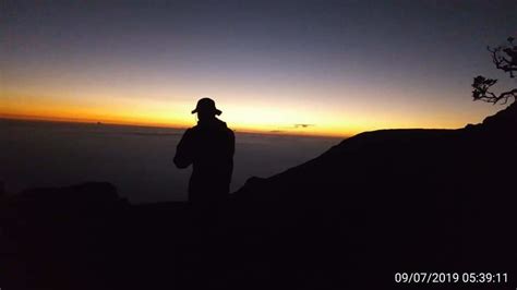 Explore Mount Gede Pangrango National Park | Triptipedia