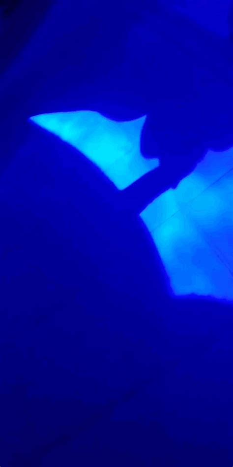 I Love Having Dick Down My Throat Fuck I M Soaking R EbonyBBW