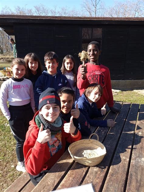 5è fem de NEOLÍTICS al Parc de la Draga Banyoles Collegi Jardí