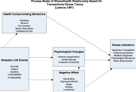 Process Model Of Stresshealth Relationship Based On Transactional Download Scientific Diagram