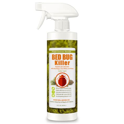 EcoRaider Natural Bed Bug Killer Spray 16 Oz - Effective on Bed Bug ...