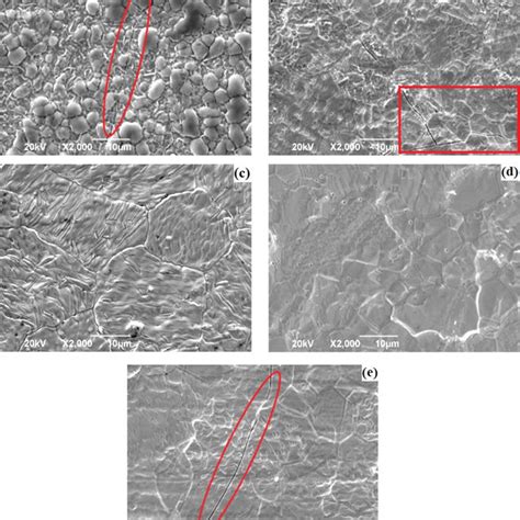 SEM Micrographs Of A Tungsten Surface Irradiated For 1 H At A 700 C