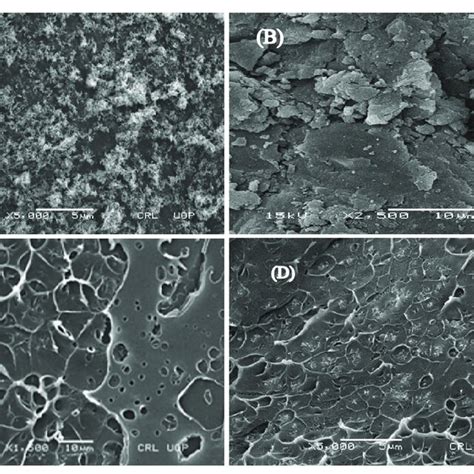 Sem Micrographs Of A Cuo Nps B Rgo C Wps D Wps Rgo Cuo