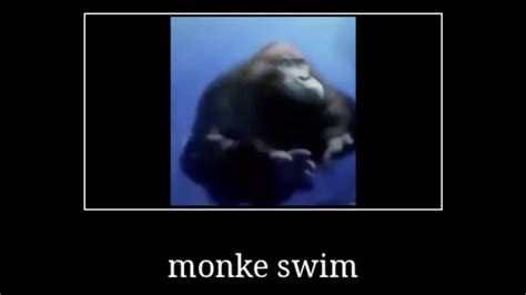 Monke Swim Youtube