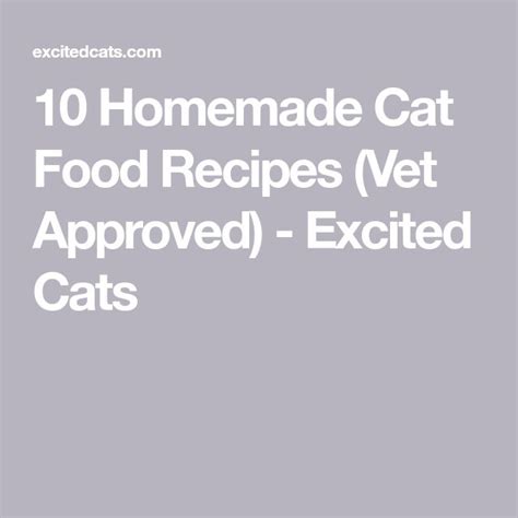 9 Homemade Cat Food Recipes (Vet Approved) - Excited Cats | Recipe | Homemade cat food, Raw cat ...