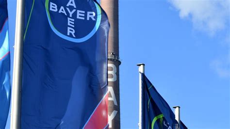 Monsanto Übernahme Bayer will gesamtes Gemüsesaatgutgeschäft an BASF