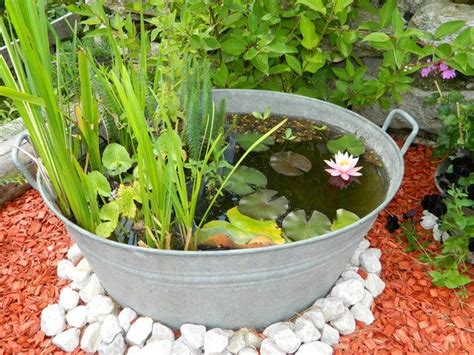 86 Best Galvanized Tub Water Gardens Images By Container Water Gardens