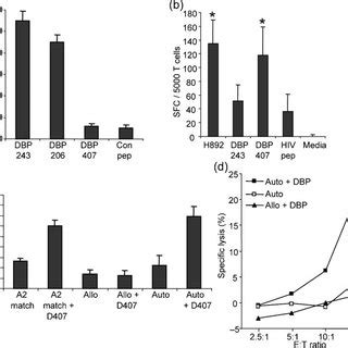 Comparison Of Peripheral Blood T Cell Responses To Hexon And Pol