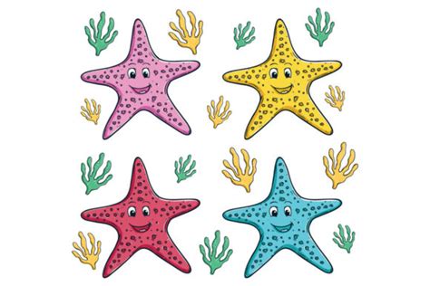 Cute Starfish Collection Graphic By Padmasanjaya · Creative Fabrica