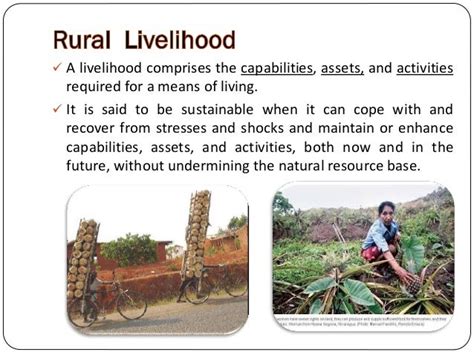 Agroforestry For Livelihood Support In Rural Area