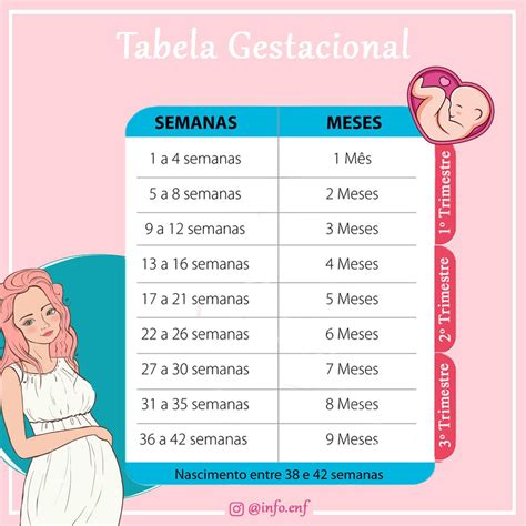 Tabela De Meses Gestacional BRAINCP