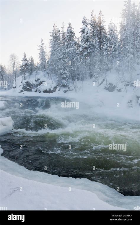 River in snowy forest at winter in Finland Stock Photo - Alamy