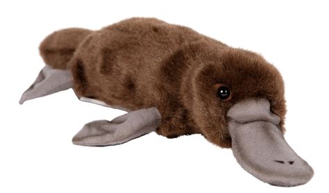 Platypus 40cmL - Hamac Trading