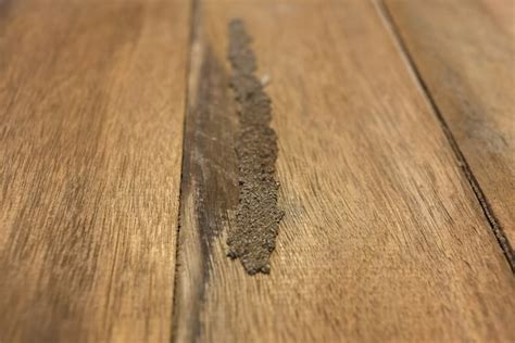 Do Termites Eat Vinyl Flooring Flooring Guide By Cinvex