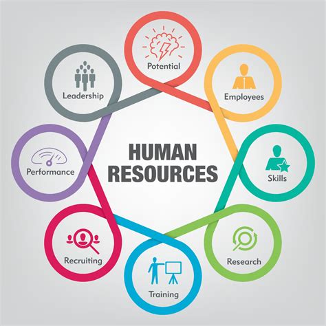 Degrees In Hr The Best Human Resources Bachelor S Degrees