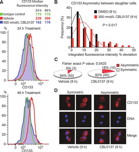 Acute Exposure To Cbl0137 Decreases Cd133 Cell Surface Expression And