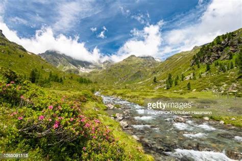 Parque Nacional Hohe Tauern Imagens E Fotografias De Stock Getty Images