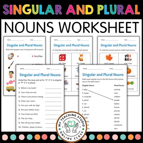 singular  plural nouns grammar worksheets irregular  regular