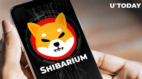 Shiba Inu Shib Blockchain Dev Excited As Shibarium Beta Launch Kicks