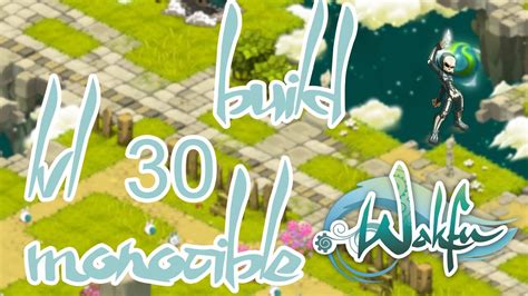 Le Meilleur Stuff Monocible Lvl 30 Wakfu YouTube