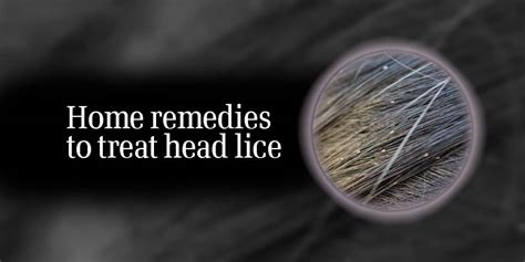 Effective Home Remedies for Lice Treatment - Dr. Brahmanand Nayak