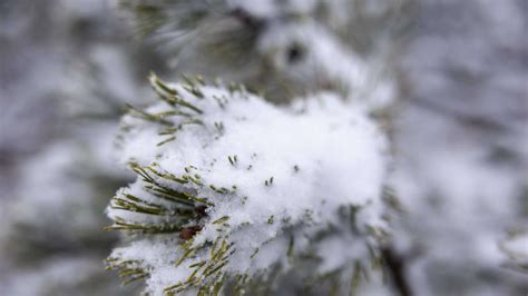 Sommerende Mit Einem Paukenschlag Wetter Bringt Heftigen