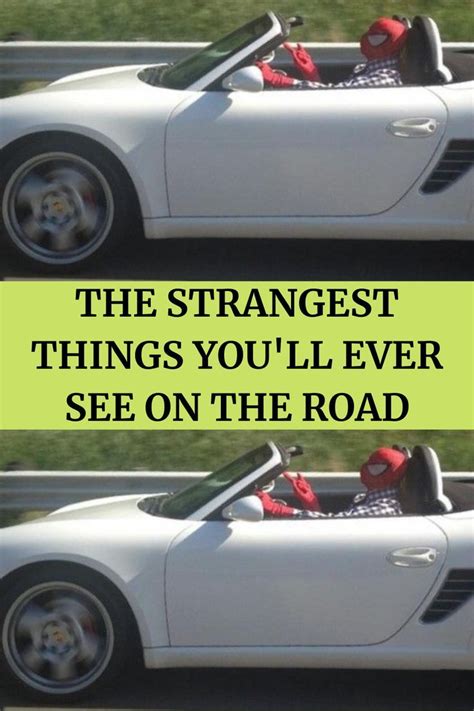 The Strangest Things You Ll Ever See On The Road Artofit