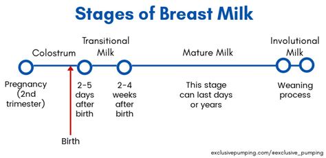 Types Of Breast Milk Exclusive Pumping