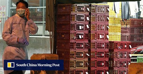 Elderly Man Latest To Die In Hong Kong After Contracting H7n9 Bird Flu