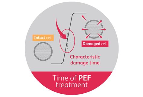 Faq About Pulsed Electric Field Processing