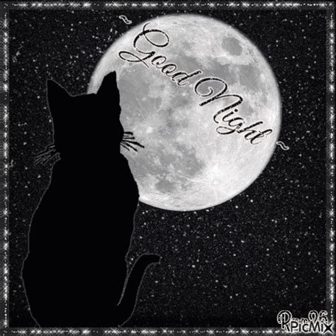 Silhouette Of Cat By Full Moon Pictures, Photos, and Images for Facebook, Tumblr, Pinterest, and ...