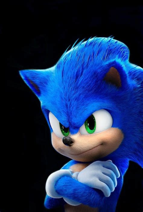 Pin By Maulanamalik Ibrahim On Hewan Sonic The Hedgehog Hedgehog