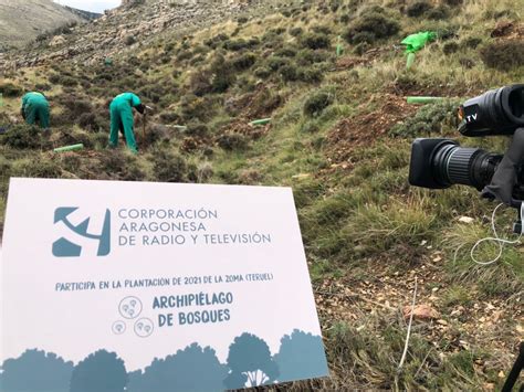 CARTV colabora con la plantación del ARCHIPIÉLAGO DE BOSQUES en LA ZOMA