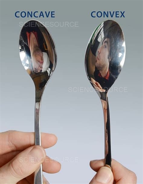 Reflection Concave Vs Convex Stock Image Science Source Images