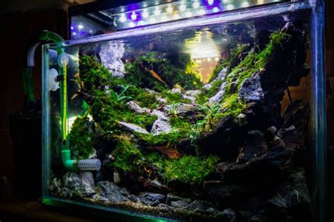 Planted Aquarium Lighting; The Best LED Lights for Planted Tanks (2023 Guide)