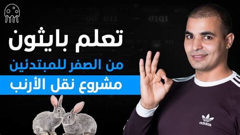 تعلم بايثون من الصفر للمبتدئين مشروع نقل الأرنب YouTube