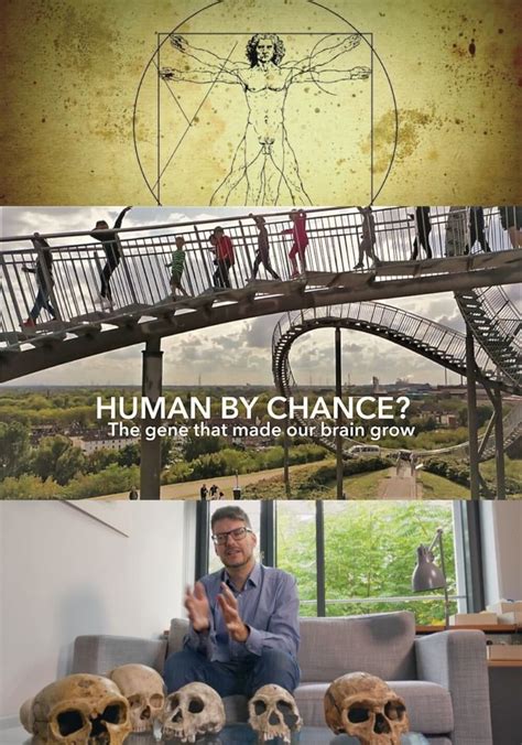 Human By Chance película Ver online en español