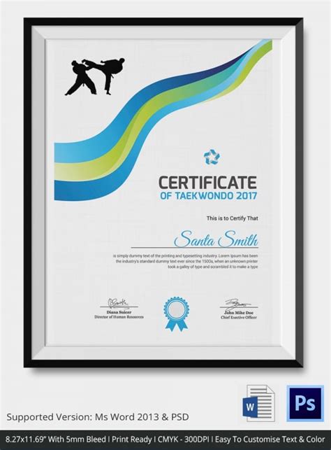 Taekwondo Certificate Templates