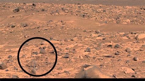 Real Spider On Mars Captured By Nasa S Mars Curiosity Rover