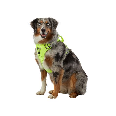 Arcadia Trail Yellow Neoprene Sport Harness For Dogs Only Natural Pet