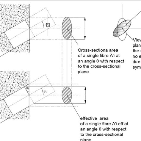 Effective Area And Cross Sectional Area Of A Single Fibre A Close Up