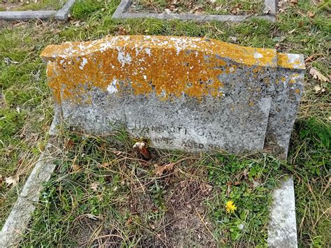 Eliza Harriott Gay 1872 1952 Find A Grave Memorial