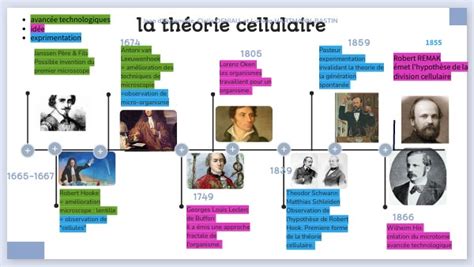 la théorie cellulaire