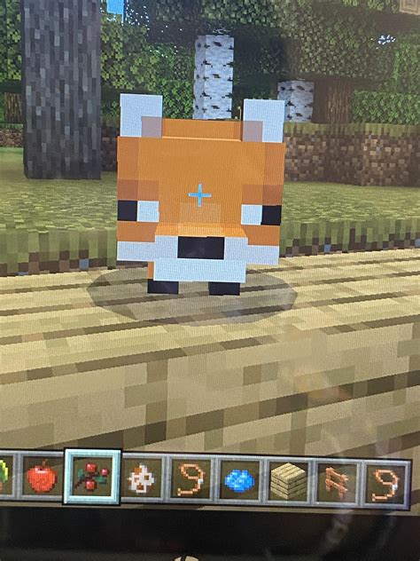 Do Minecraft foxes count? : r/EverythingFoxes