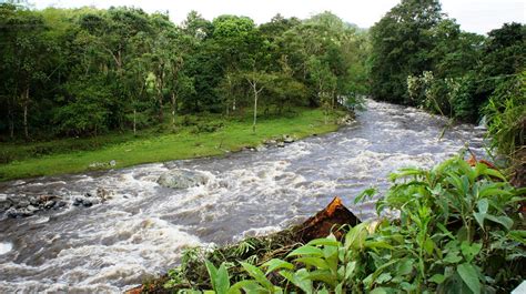 Santuario de Risaralda por qué visitar este cautivante paraje natural